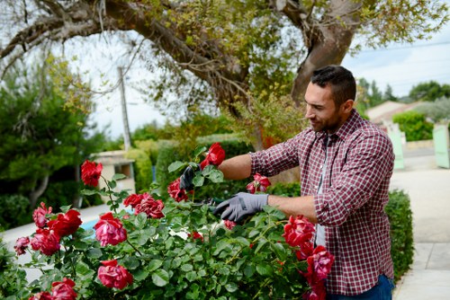 Gardener inspecting a residential garden in Purley