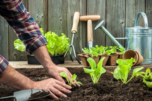Training session for gardening staff on equipment safety