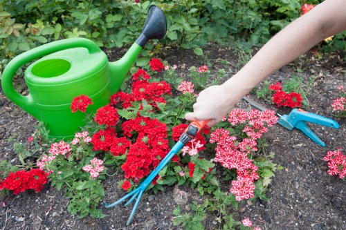 Various types of hedges suitable for Purley gardens
