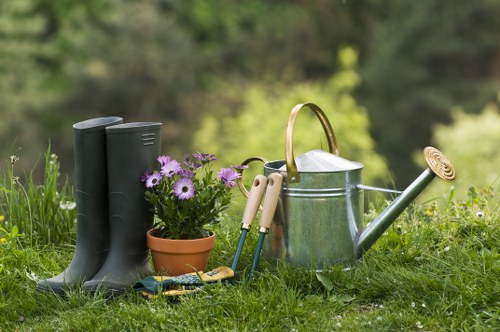 Healthy and neatly shaped garden hedges