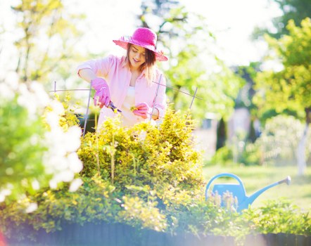 Essential hedge trimming tools and equipment